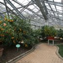 감귤박물관 이미지