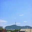 백만정비 | 꽃의 왕 장미! 부천 도당공원 백만송이장미원 장미축제 (주차 꿀팁)