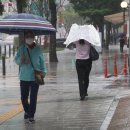 10일 수도권 새벽부터 비…천둥·번개, 우박도 예상 이미지