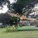 견생공감 | 🐶[김포 애견카페 추천] 비비의 ‘견생역전’ 이야기 💫 이름처럼 운명적인 하루!