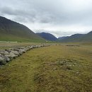 진군농장 이미지