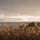 그림민박 이미지