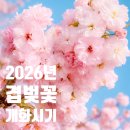 문수골 | 아직 벚꽃 엔딩 아니에요! 분홍 팝콘 터지는 국내 겹벚꽃 개화시기