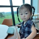 민지목장 이미지