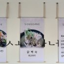 송家네 이미지