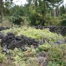 태흥3리 이미지