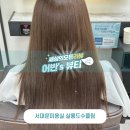 서대문미용실 살롱 드 수풀림 다녀온 후기