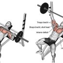 피트니스H PT 헬스 이미지