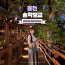 송학목장 | 홍천 여름 가볼만한곳 송학정교 놀거리 출렁다리 밤 여행 코스