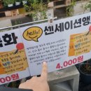 헬로우마켓