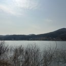 히든캠프 네이버블로그