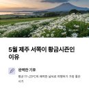 제주서쪽 이미지