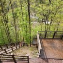 도래재자연휴양림(밀양) | 밀양캠핑장 밀양도래재자연휴양림 14번 데크 솔직 후기 시설, 가격, 짐 이동 꿀팁까지