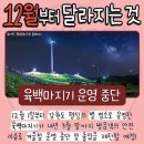 GS25 가야드림점 | 11월 다섯 째주 일상 / 36주 임신부 배크기+몸무게 / 서울아산병원 태아치료센터 외래 / 태동검사...