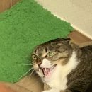 봉구삼촌 이미지