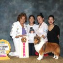 바이온인터내셔널 | 12월 5일 서울FCI인터내셔널&amp;서울KKF챔피언쉽 도그쇼 후기- 에르, 여왕(QUEEN)등극하다.