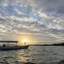 상어 | 보홀 오슬롭 고래상어 투어 내돈내산 후기