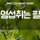 웰빙심천식품
