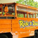 플레이비치 이미지