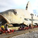 정선레일바이크 이미지