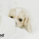 다 - 중랑구 | 다