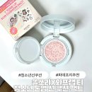 청소년선쿠션 파데프리 추천 쏠쏘라 콜라보 와프랩 티 청소년 톤업 선 쿠션 팩트 후기
