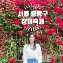동일로163길 (28) | [ 서울 중랑구 - 장미축제 ] 5월 서울 나들이 중란천 꽃구경(#가는방법 #후기)