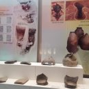 용인문화유적전시관 네이버블로그