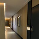 브라운도트 수원정자점 | 울산 여행 전망 좋은 브라운도트 정자해수욕장점 숙소 오션뷰 후기