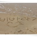 진말책향기작은도서관 이미지