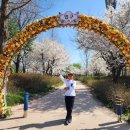 자라섬관광안내소 이미지