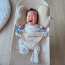 [육아] 베이비뵨 바운서 구매 아닌 러블리베이비에서 대여 후기