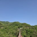 파주교통 | 파주 자장캠핑장 풀타프존 명당 추천 초여름캠핑 후기