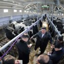 삼광사료 이미지