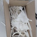 그랑시티 | ✨ 곰팡이 변색 STOP! 안산 그랑시티자이 욕실 실리콘 시공 완벽 후기 (Feat. 10년 가는 팁)