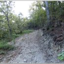 용산숲 입구 이미지