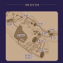 [서울] 2025 창덕궁 달빛기행 야간개장 후기 및 예매 꿀팁 (feat. 아이랑)
