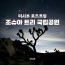 💫 미서부 로드트립 | 별보러 떠난 조슈아 트리 국립공원 위치, 입장료, 유명한 곳, 투어, 할인쿠폰