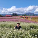 철원 ~포천 한탄강 트래킹 이미지