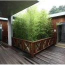 대나무공원 화장실 이미지