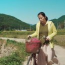 아리랑시네센터 이미지