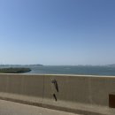 거산할인마트 | [충남 당진] 푸른 잔디와 촌캉스 감성 가득한 '진경원 캠핑장' /1,2,3번 사이트 후기