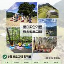 6.10(토)~11(일)/아름다운 정원 로미지안가든 숙박 & 가리왕산 케이블카, 하이원 하늘길 샤스타데이지 신청하세요 이미지