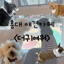 The(더)귀여워 이미지
