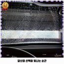 오아시스 노브러시 세차장 의정부직영 이미지