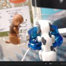 춤추는 개~~^^ USB DOG (HUMPING DOG) 이미지