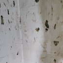 노암현대아파트 이미지