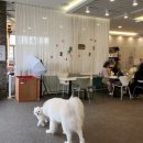 메종드 로이 이미지