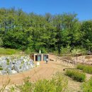 사랑스럽댕 이미지