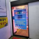 효성남초등학교 | 실내갈만한 곳 타세롤러장 아이와 함께 다녀온 후기
